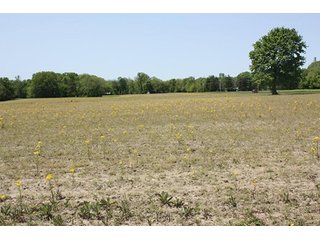 Property photo 20 - LAND AUCTION - 389.5+/- ACRES IN 11 TRACTS IN SULLIVAN COUNTY, INDIANA